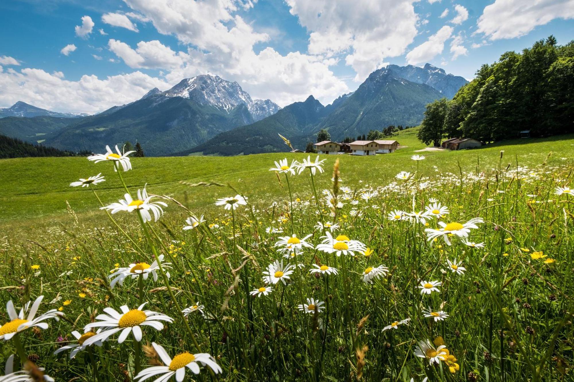 Alpenpension Ettlerlehen Ramsau bei Berchtesgaden Extérieur photo